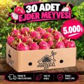 Kumluca Ejder Meyvesi 30 Adet