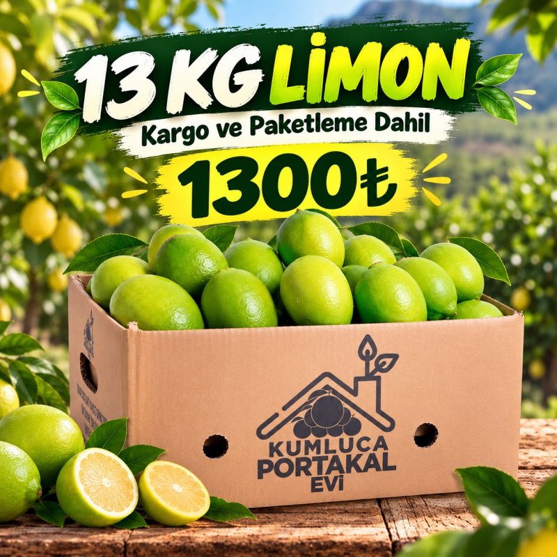13 KG Taze Limon Paketi