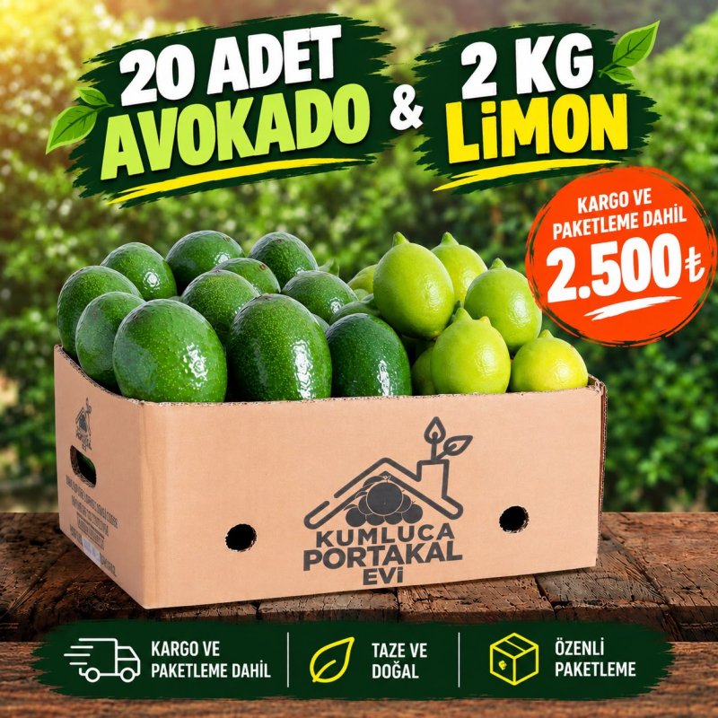 20 Adet Avokado + 2 KG Limon