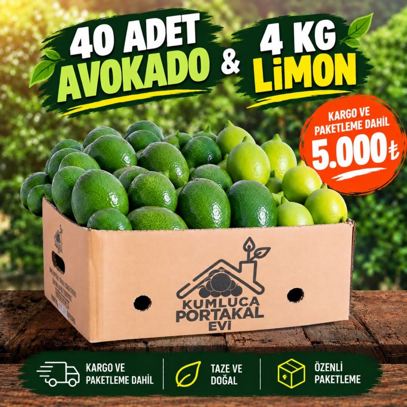 40 Adet Avokado + 4 KG Kumluca Limonu