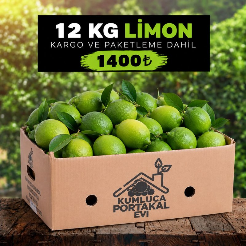 Kumluca Limonu 12 KG