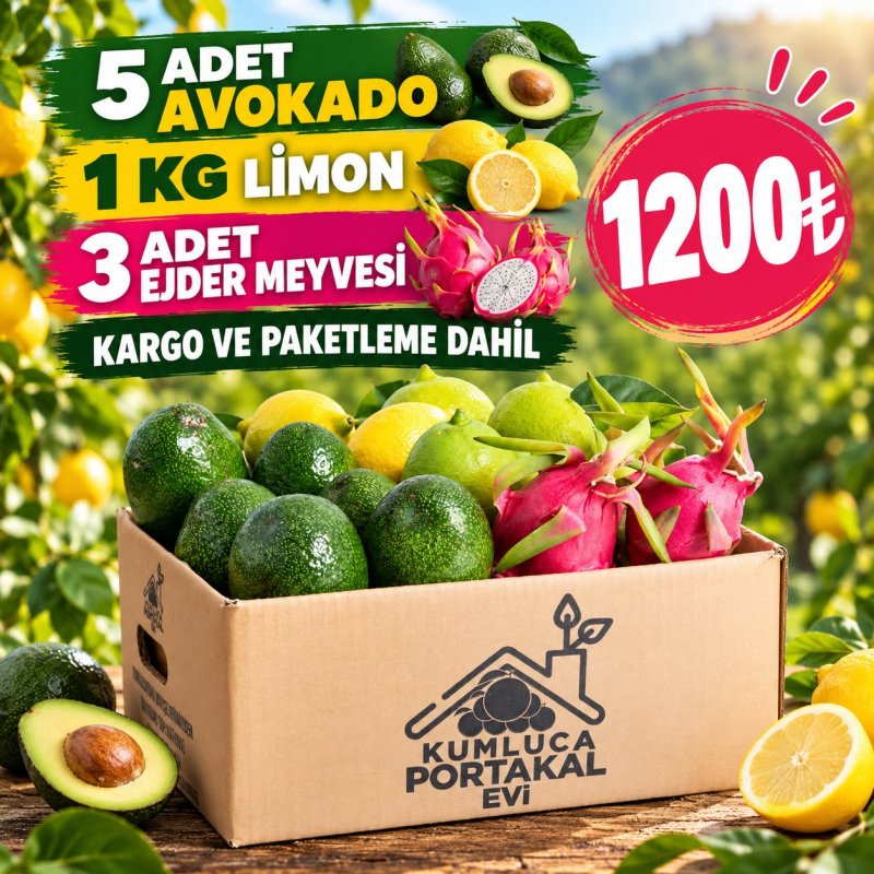 Tropikal Meyve Paketi – Avokado ve Ejder Meyvesi